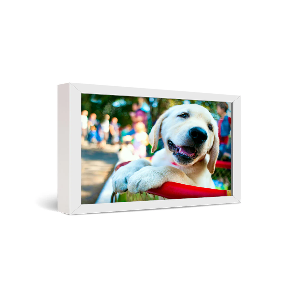 12x24" Framed Metal Print
