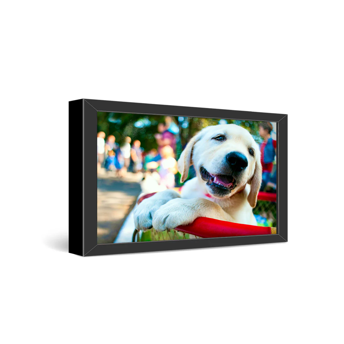 12x24" Framed Metal Print - Image 2