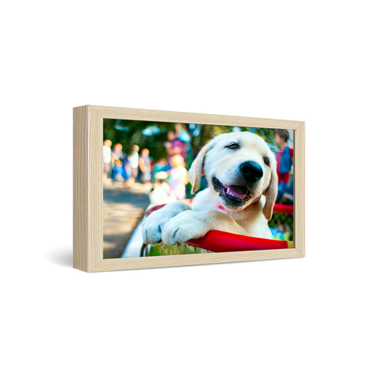 12x24" Framed Metal Print - Image 3