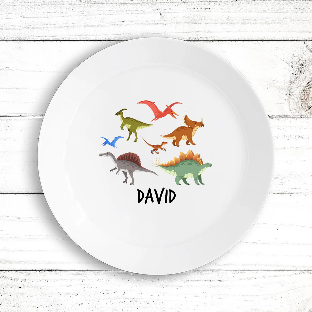 Dinosaur Kids' Plate